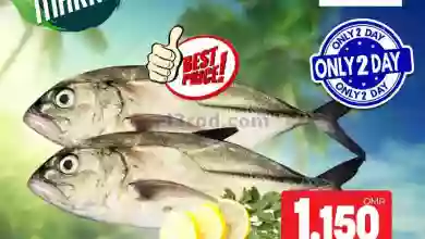 el3rod.com00001-483