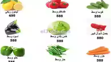el3rod.com00001-669