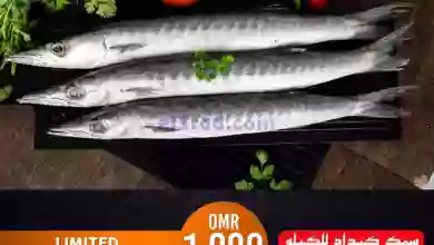el3rod.com00001-718