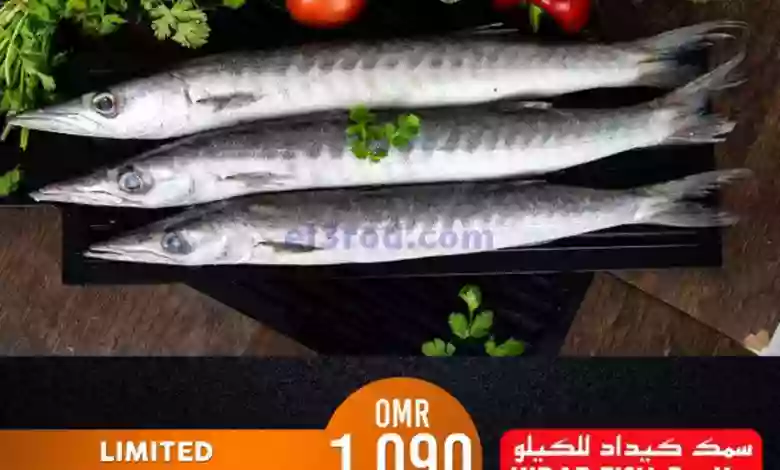 el3rod.com00001-718