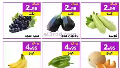 el3rod.com00001-8