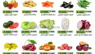 el3rod.com00001-813