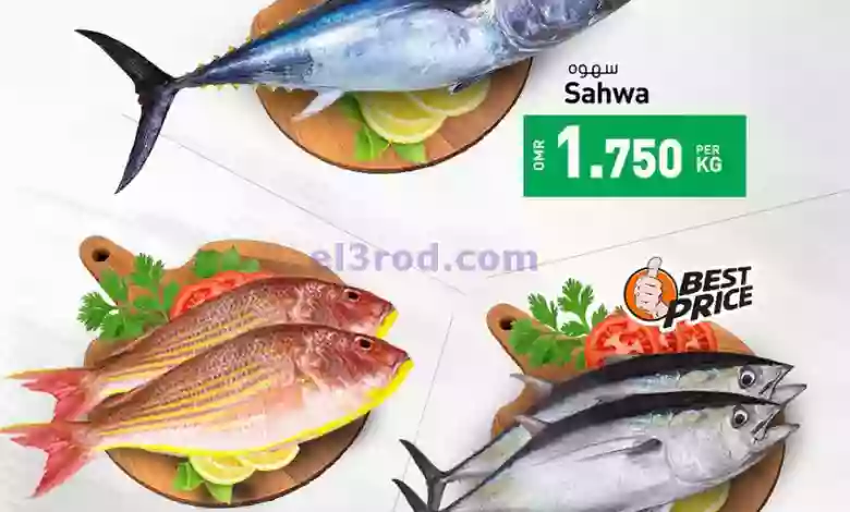 el3rod.com00001-824