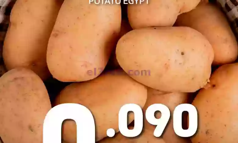 el3rod.com00001-940