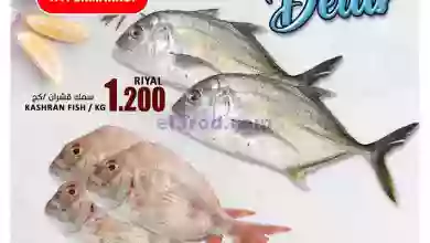 el3rod.com00002-1226