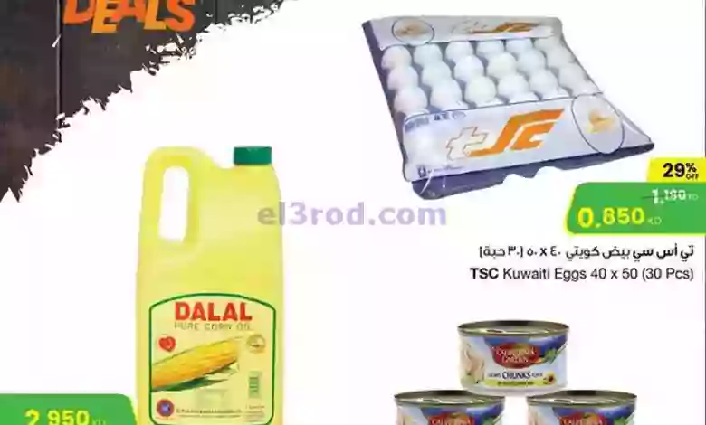 el3rod.com00002-1266