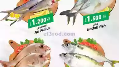 el3rod.com00002-1305