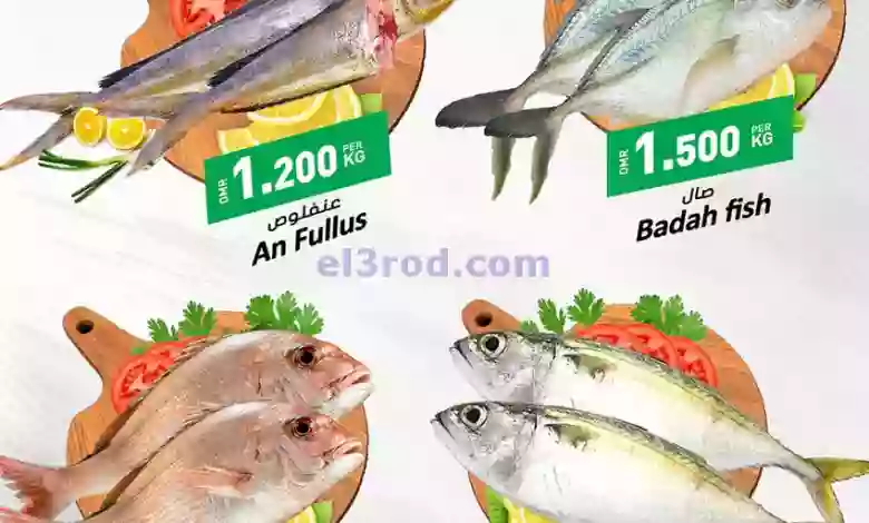 el3rod.com00002-1305