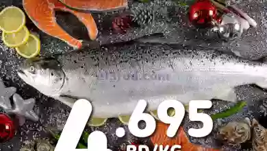 el3rod.com00002-446