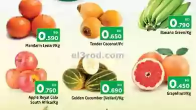 el3rod.com00002-644