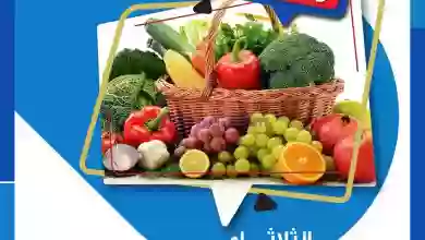 el3rod.com00002-685