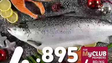 el3rod.com00003-908