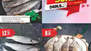 el3rod.com00004-29