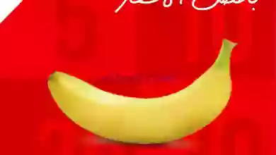 el3rod.com00004-59