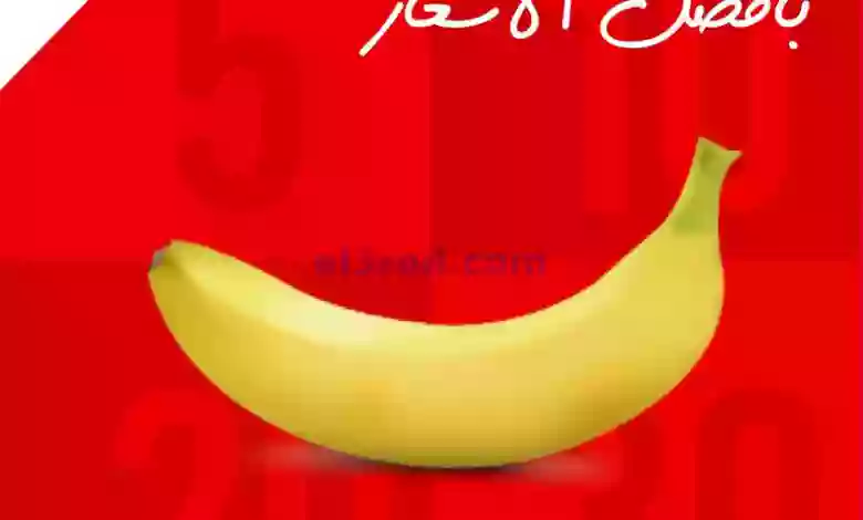 el3rod.com00004-59