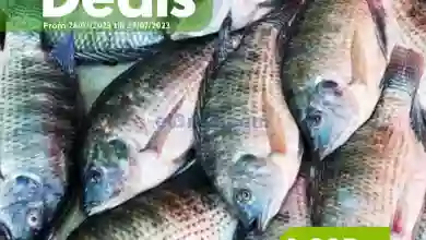 عروض سيتى سنتر الكويت|حتى 29-7-2023|فريش el3rod.com00004-866