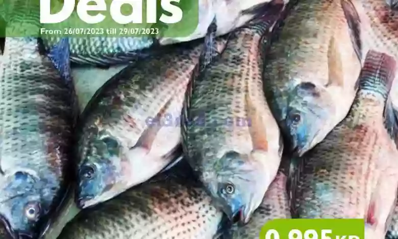 عروض سيتى سنتر الكويت|حتى 29-7-2023|فريش el3rod.com00004-866