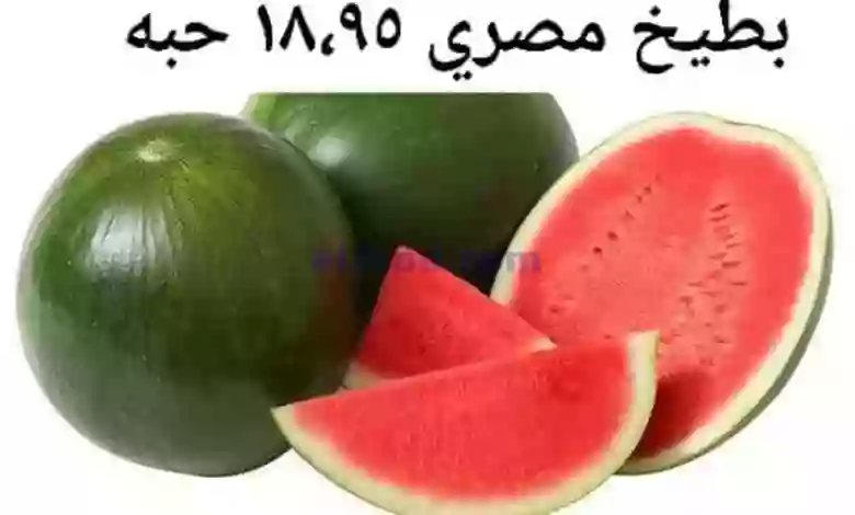 el3rod.com00005-284
