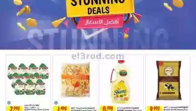 el3rod.com00012-313