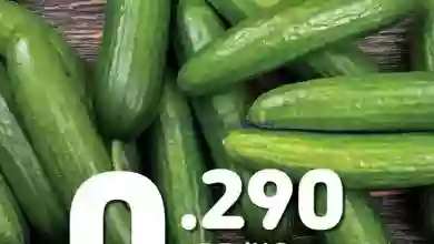 el3rod.com00018-90