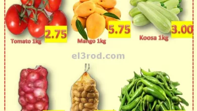el3rod.com00001-1040