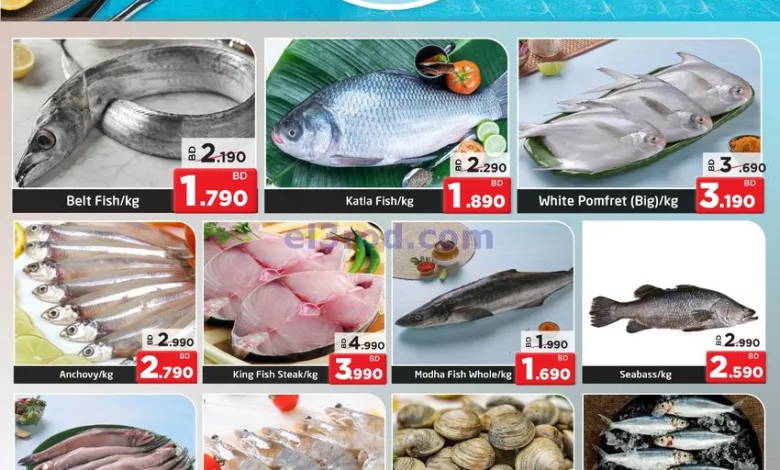 عروض نستو القضيبية البحرين|22-8-2023|سمك el3rod.com00001-1079