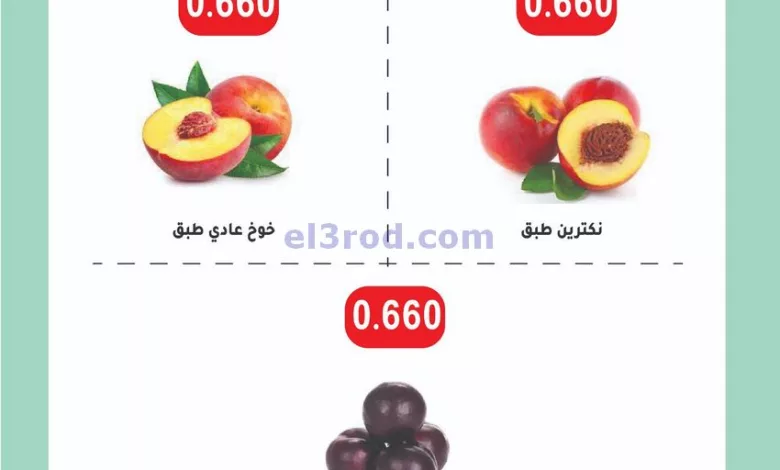 el3rod.com00001-1322