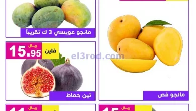 el3rod.com00001-1359