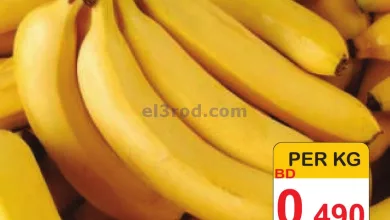 el3rod.com00001-1522