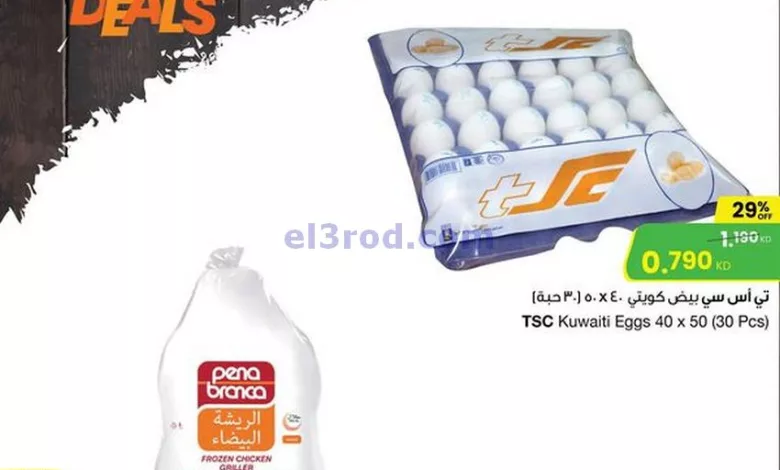 el3rod.com00001-261