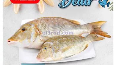el3rod.com00001-298