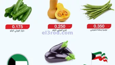 el3rod.com00001-330
