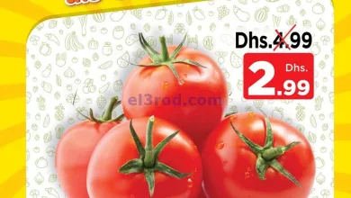عروض مجلة نستو مول العرب|8-8-2023|يوميات نستو el3rod.com00001-374