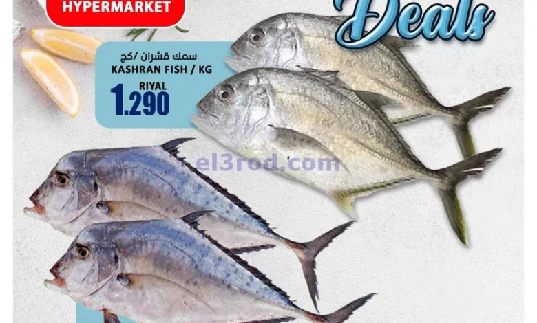 el3rod.com00001-415