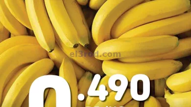 el3rod.com00001-541