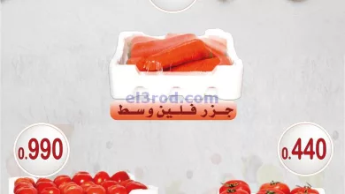 el3rod.com00001-690