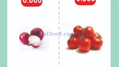 el3rod.com00001-699