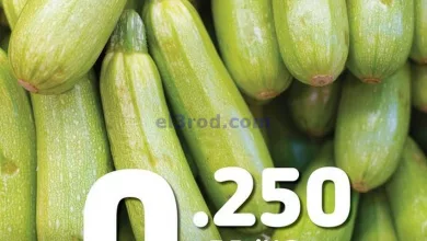 el3rod.com00001-756