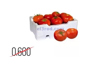 el3rod.com00001-885