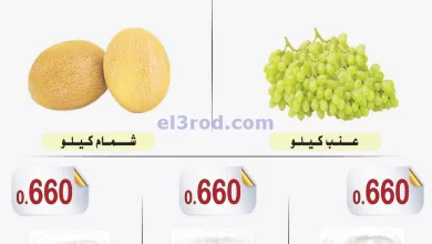 el3rod.com00001-974
