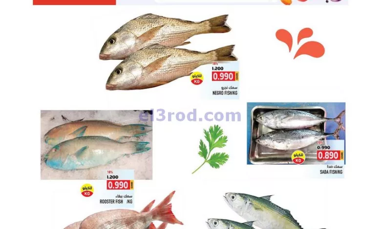 el3rod.com00003-96