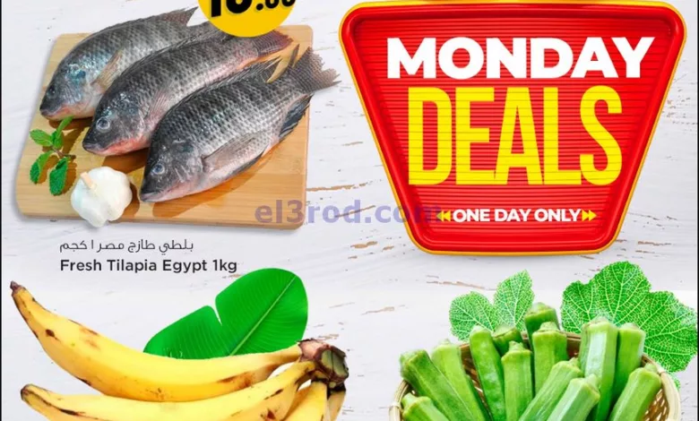 عروض سفارى قطر|14-8-2023|الاثنين el3rod.com00004-457