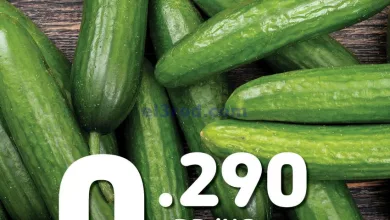 el3rod.com00010-50
