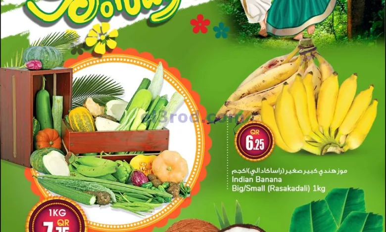 عروض سفارى قطر|27-8-2023|اونام سعيد el3rod.com00012-379