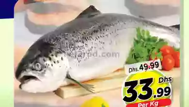 el3rod.com00001-1088