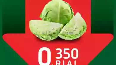 el3rod.com00001-1202
