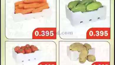 el3rod.com00001-1304