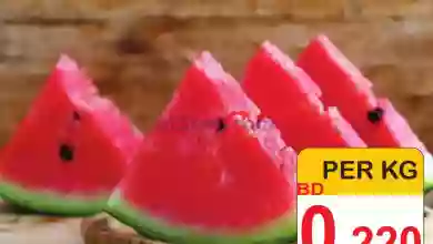 el3rod.com00001-1335