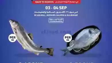 el3rod.com00001-137