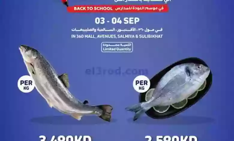 el3rod.com00001-137
